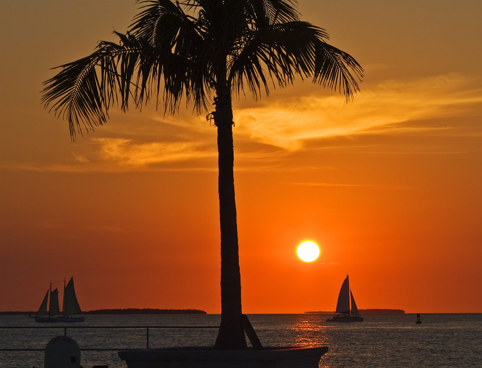Silhouetted palm tree and two sailboats against an orange sunset, a scene that sums up the aloha meaning for many visitors