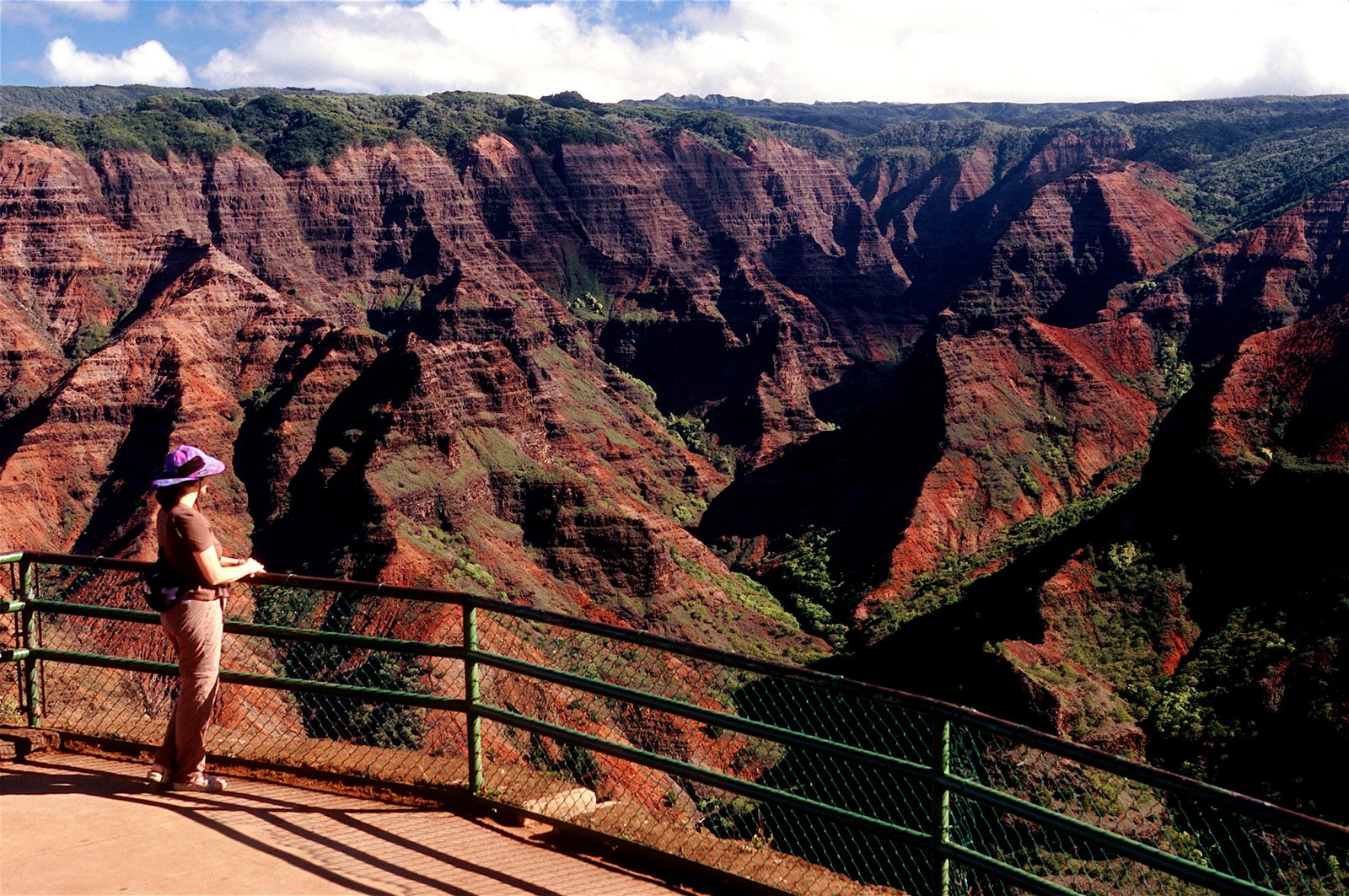 Visitor at a railing overlooking the red ridges of Waimea Canyon on Kauai