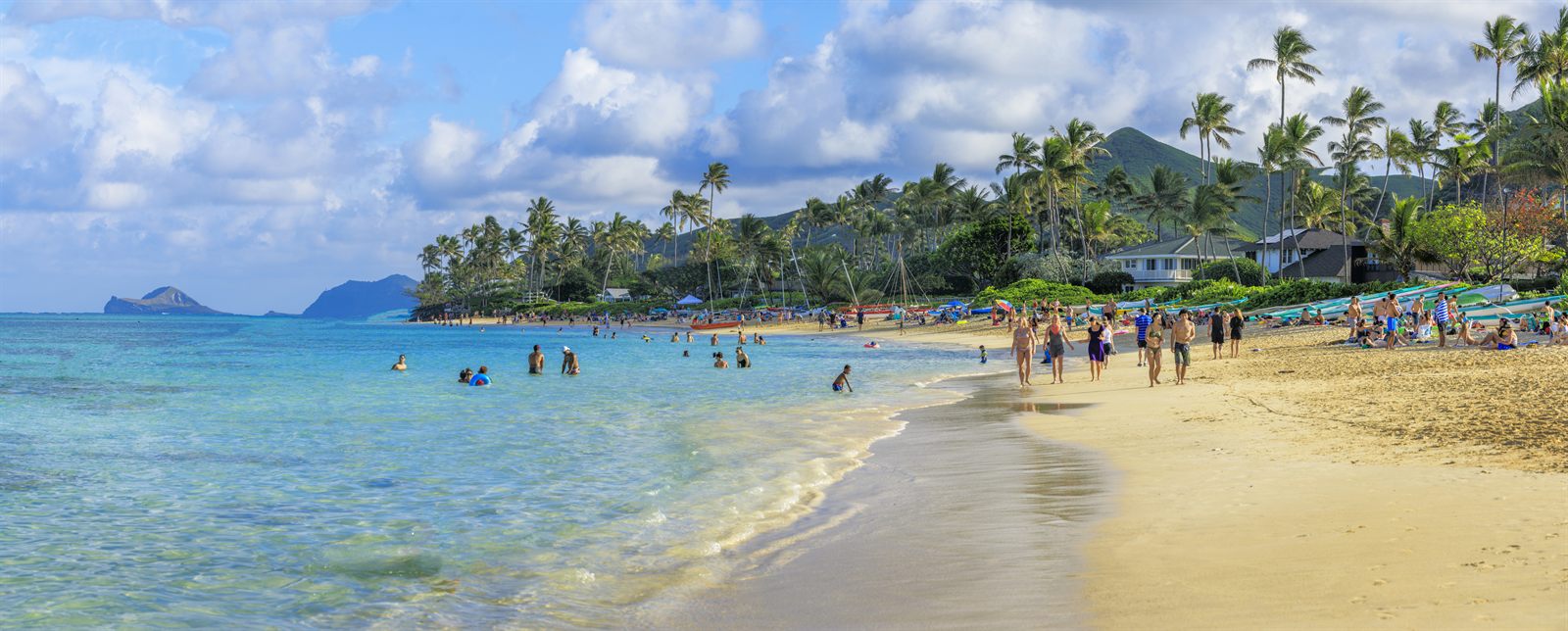 Swimmers and beachgoers on a palm-lined Oahu beach with offshore islands, where you will hear Hawaiian greetings and phrases every day